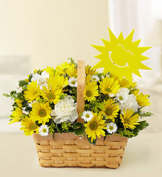 You are my Sunshine Davenport Florist - Same Day Flower Delivery - Flower Power 